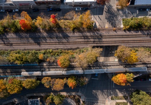 The Power of Grassroots Organizations in Shaping Elections in Northeastern Illinois